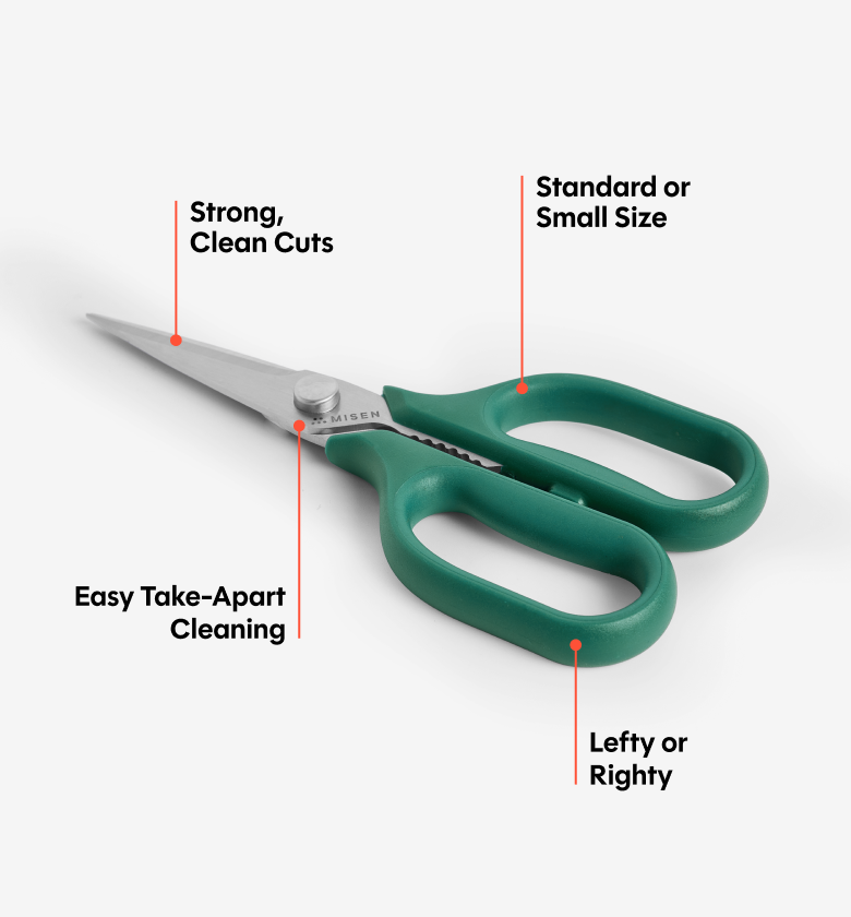 Kitchen Shears - Standard - Green