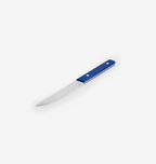Misen steak knife with blue handle and straight blade