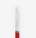 Acuto 440 Steel kitchen knife blade with red handle close-up