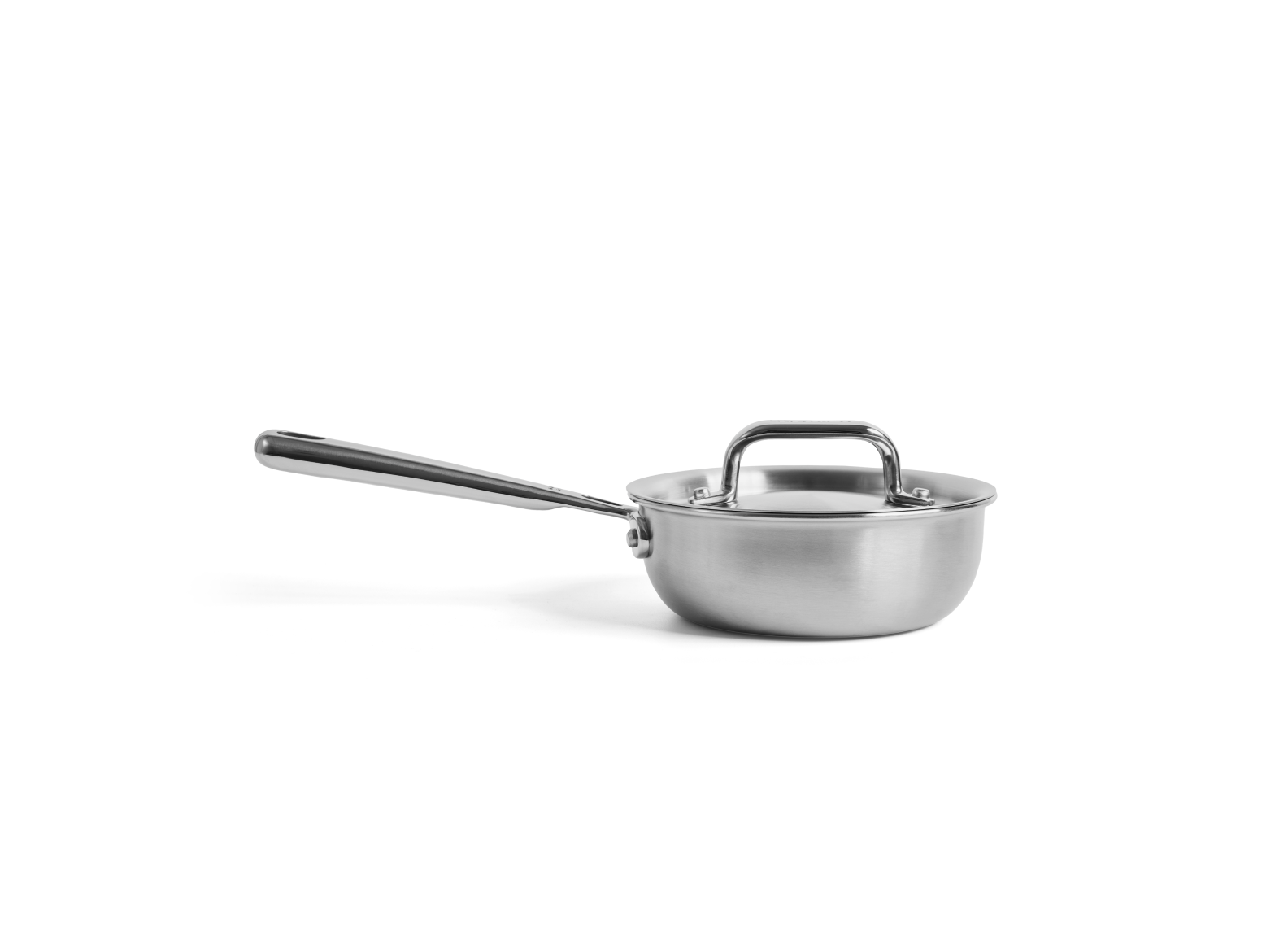 Stainless Steel Saucier