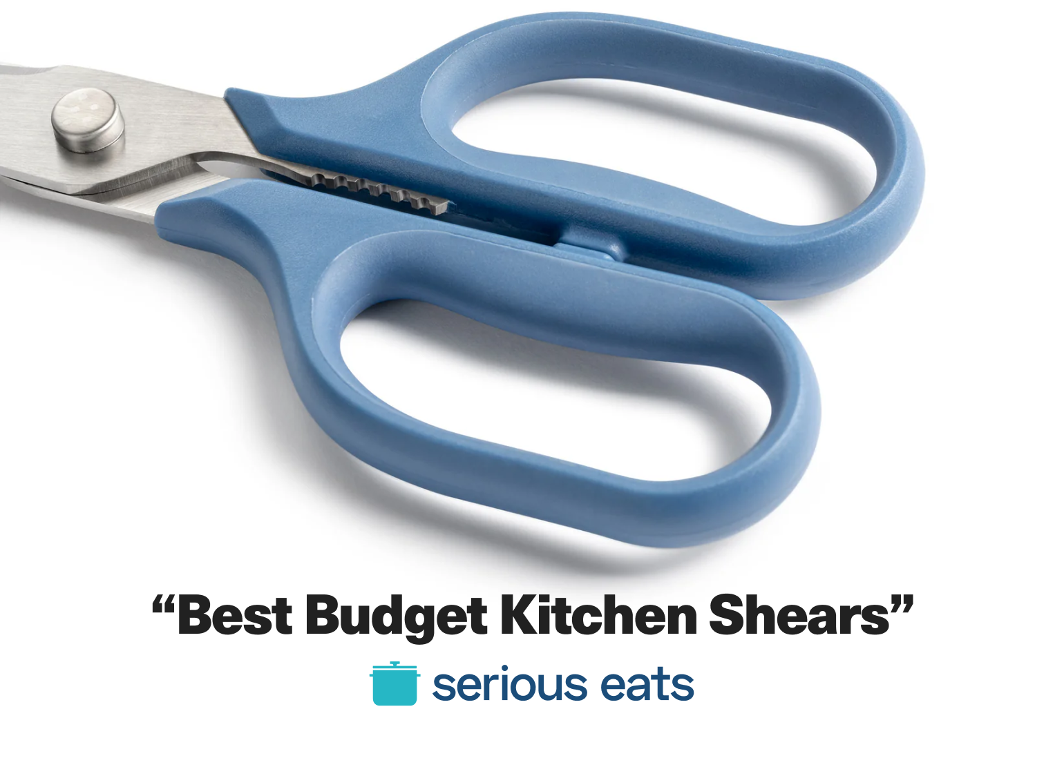 "Best Budget Kitchen Shears" - Serious Eats